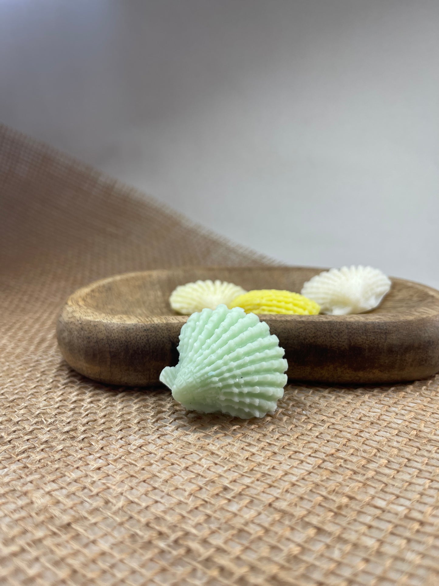 Fondants Coquillage