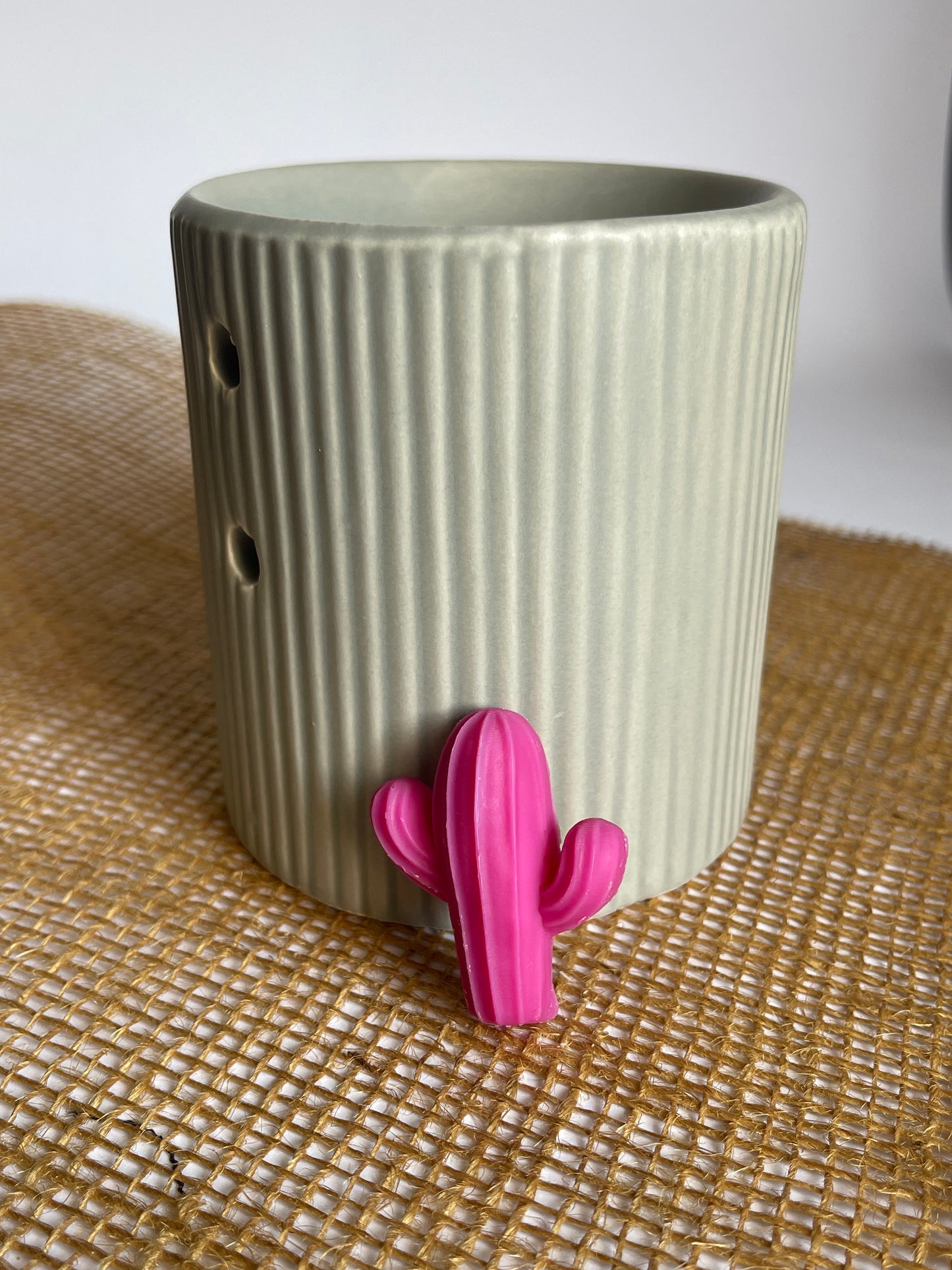 Fondants cactus