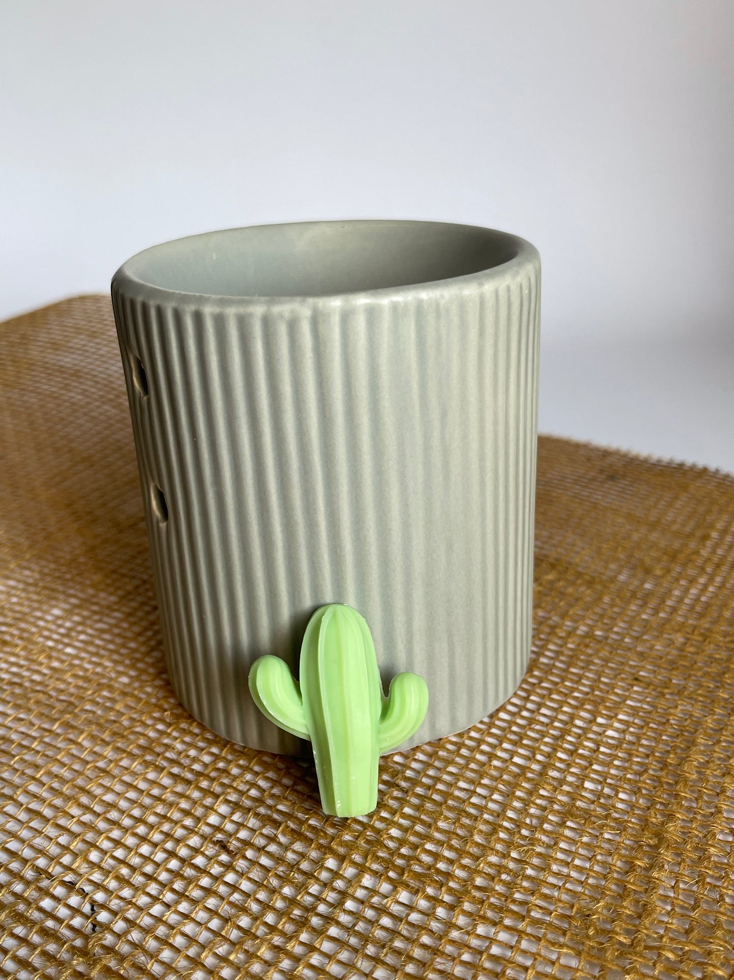 Fondants cactus