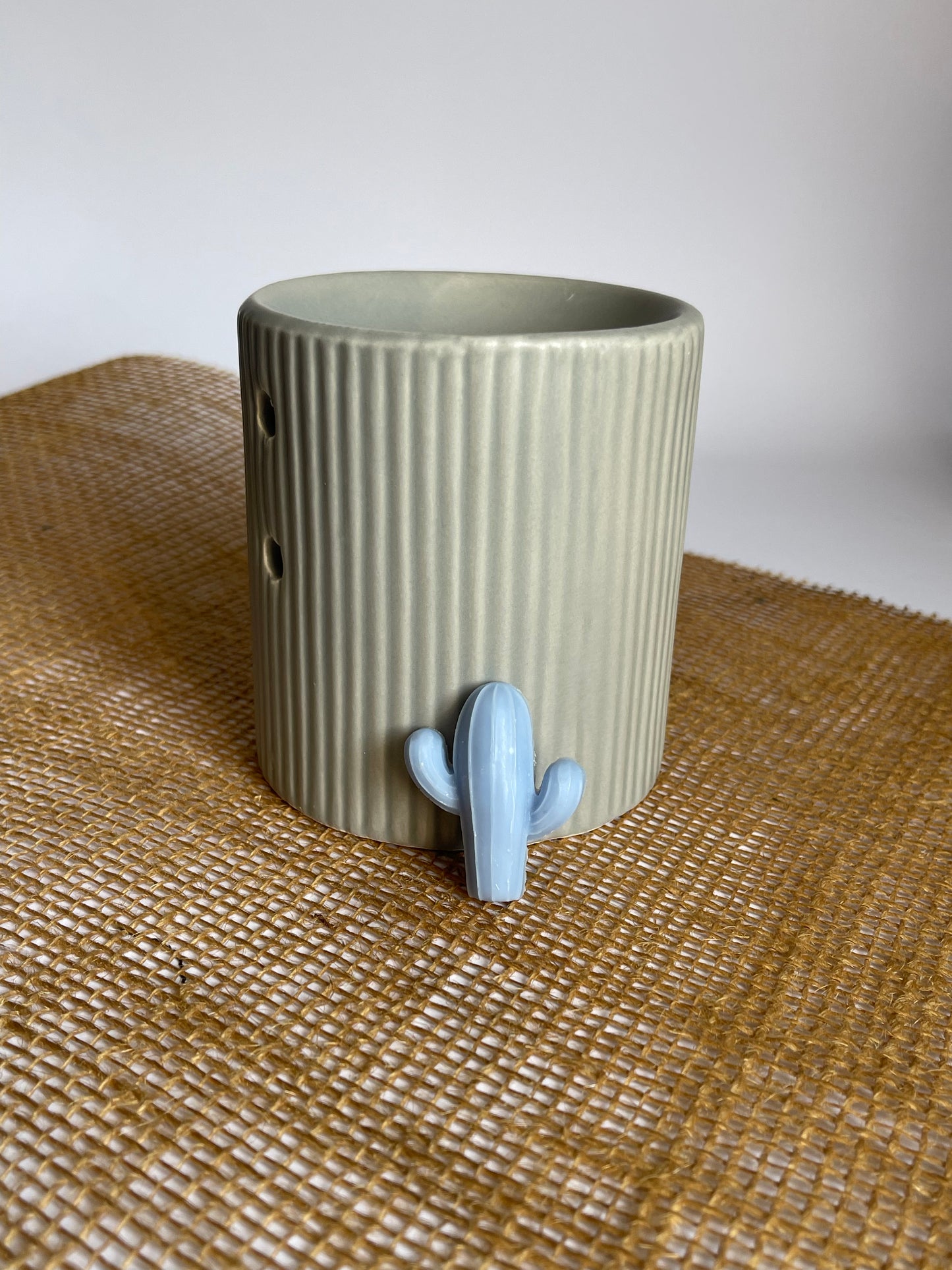 Fondants cactus