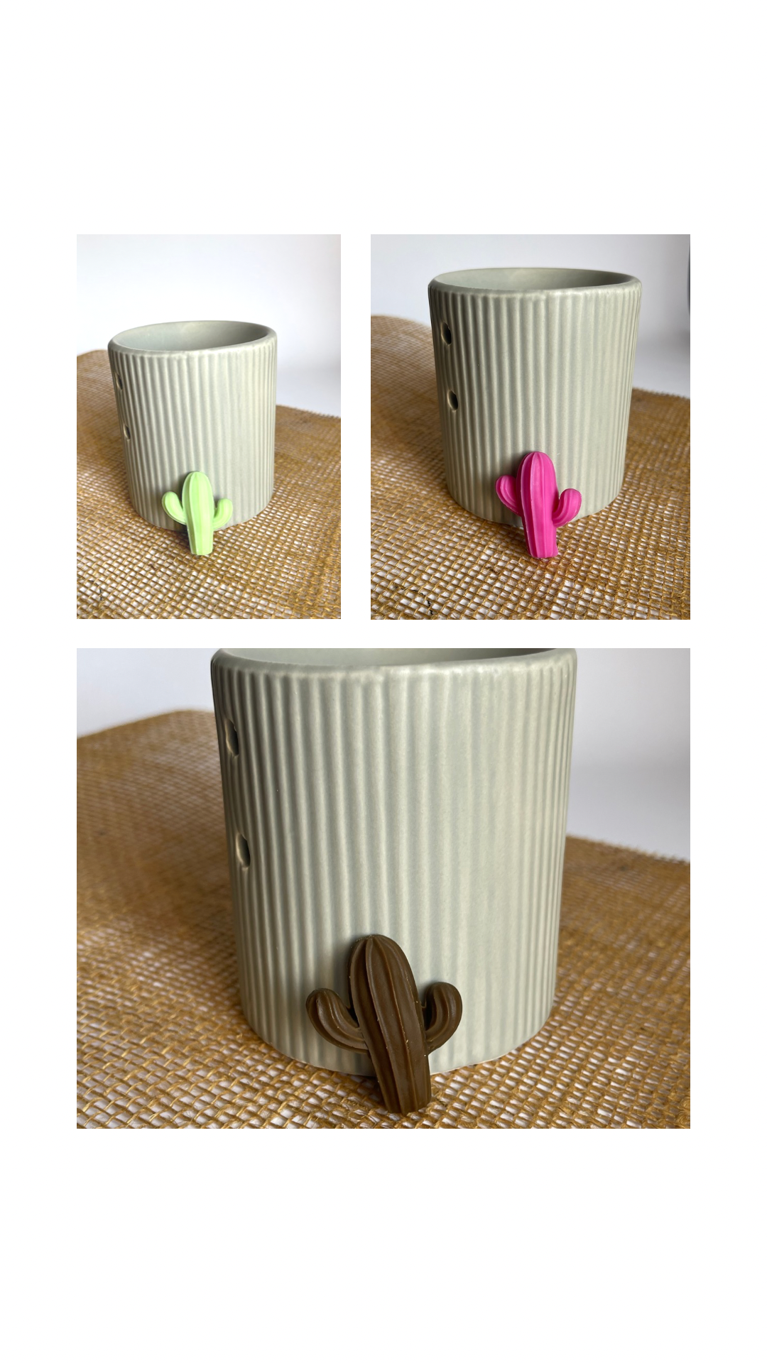Fondants cactus