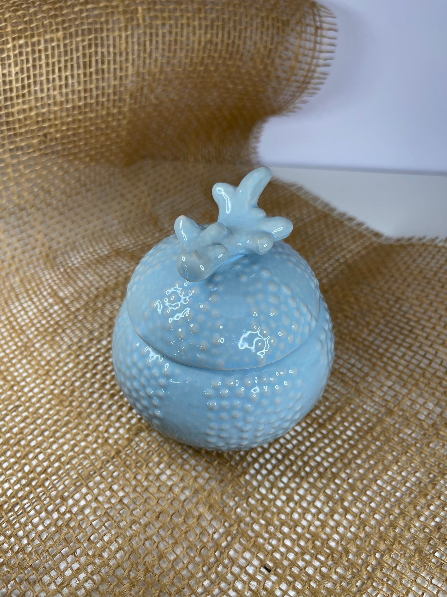 Coquillage bleu (MODÈLE UNIQUE)