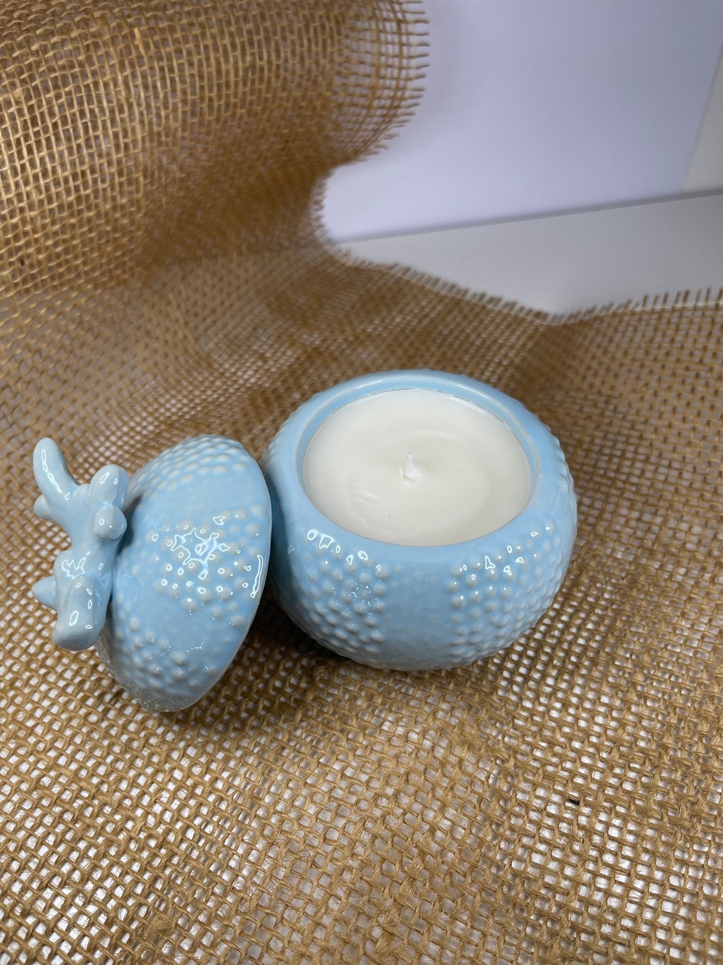 Coquillage bleu (MODÈLE UNIQUE)
