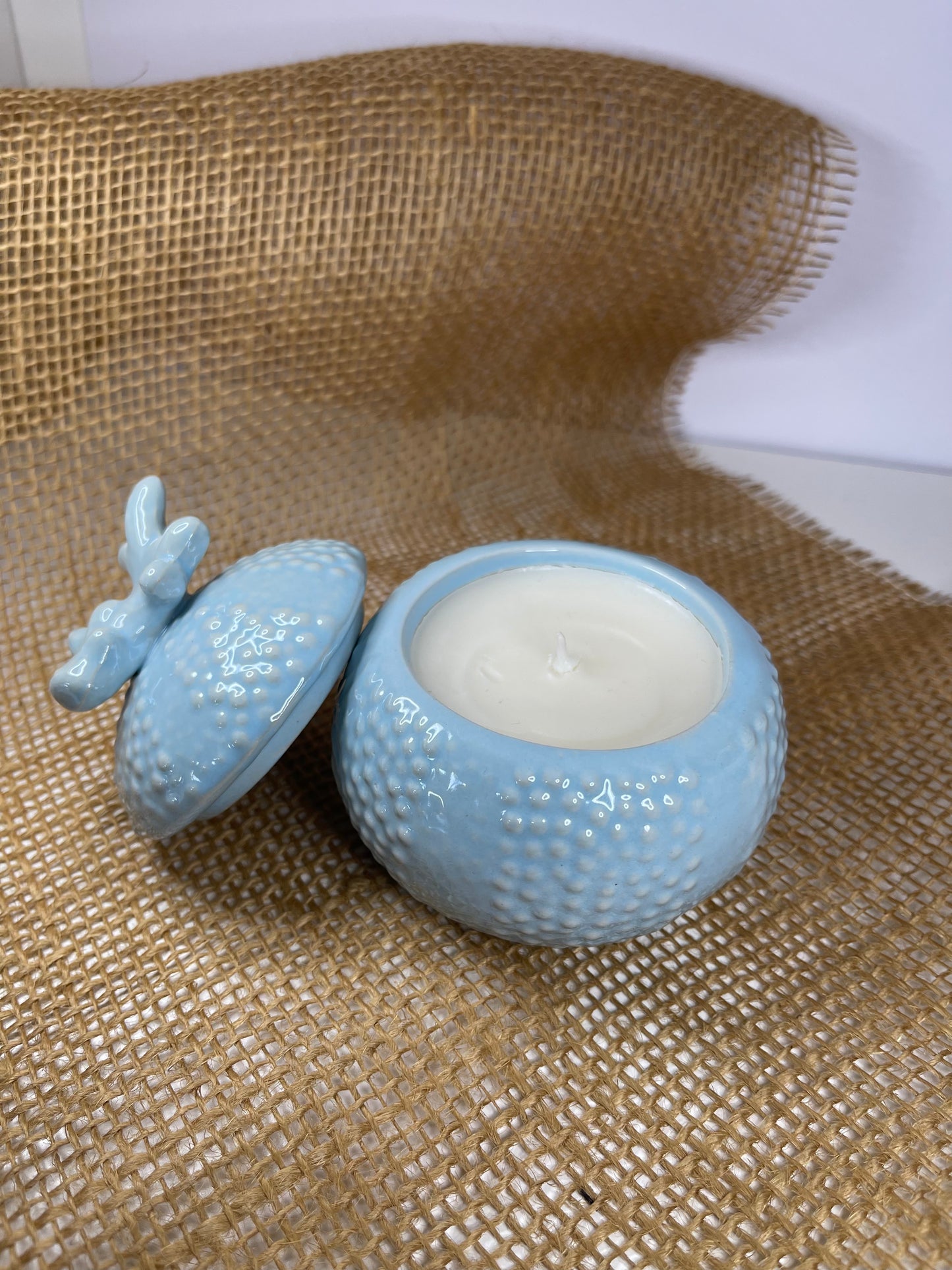 Coquillage bleu (MODÈLE UNIQUE)