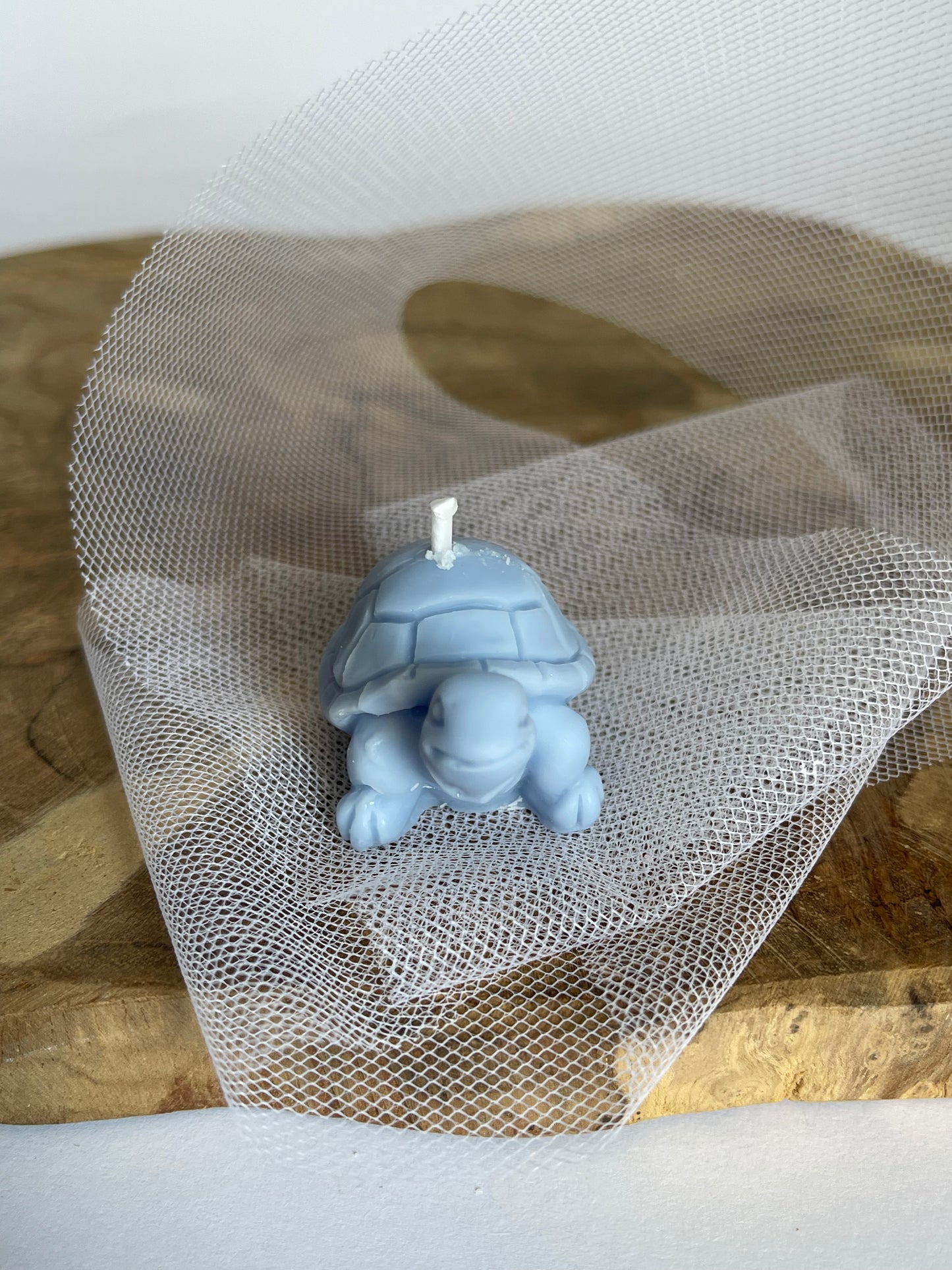 Bougie Tortue