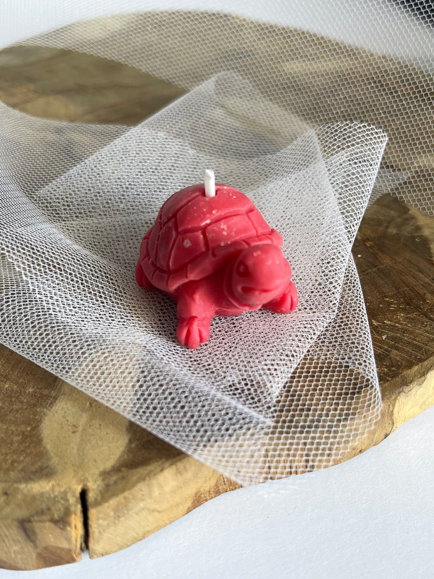 Bougie Tortue