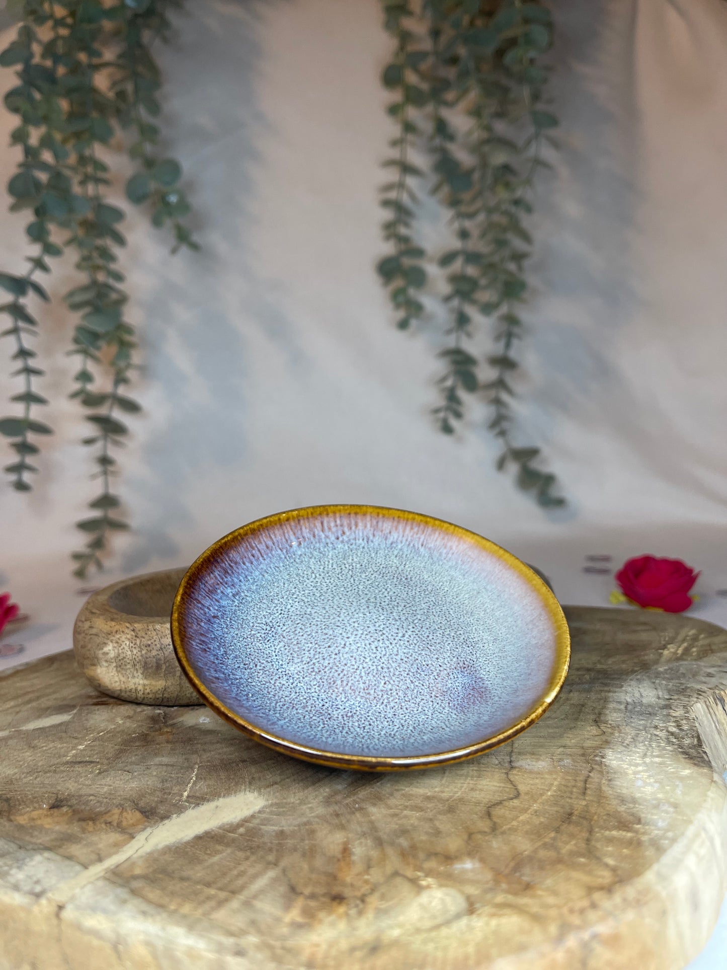 Coupelles couleurs - 4 MODÈLES UNIQUES