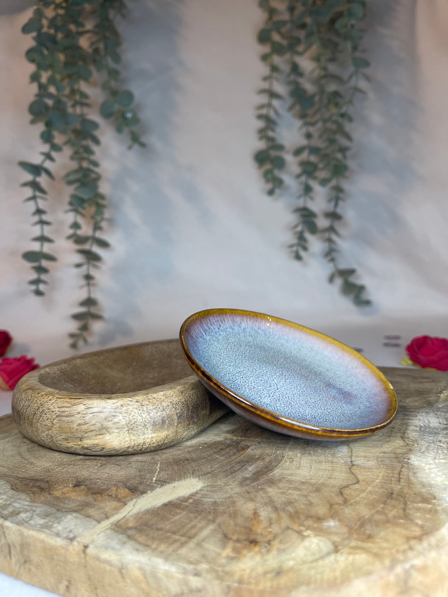 Coupelles couleurs - 4 MODÈLES UNIQUES