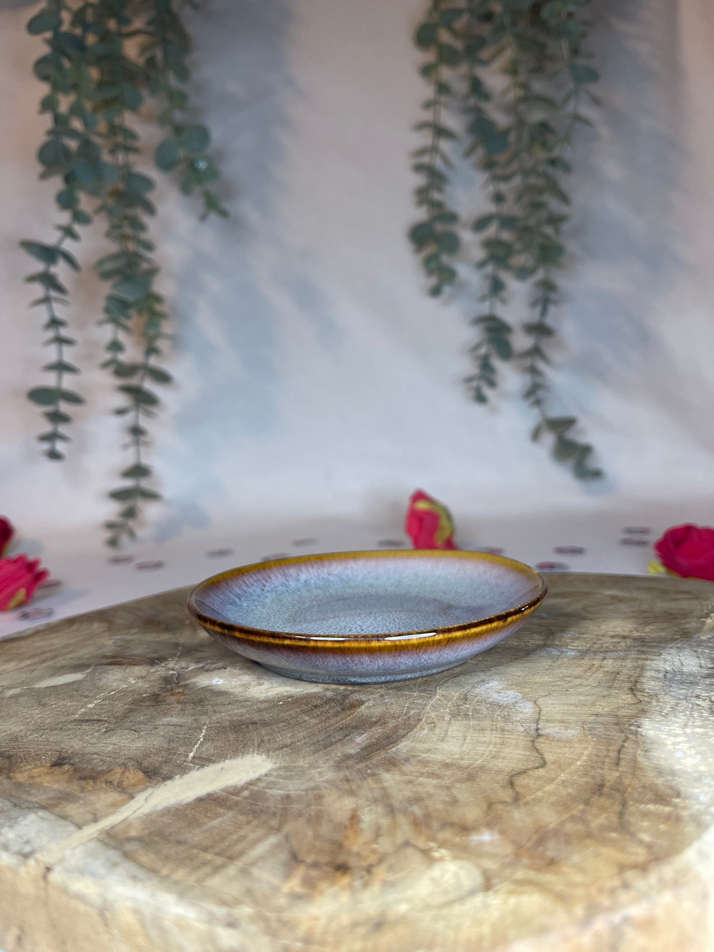 Coupelles couleurs - 4 MODÈLES UNIQUES