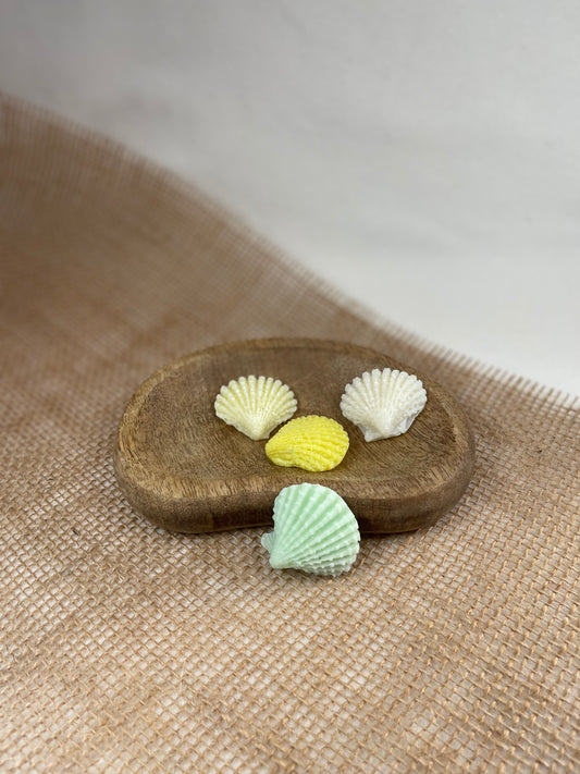 Fondants Coquillage