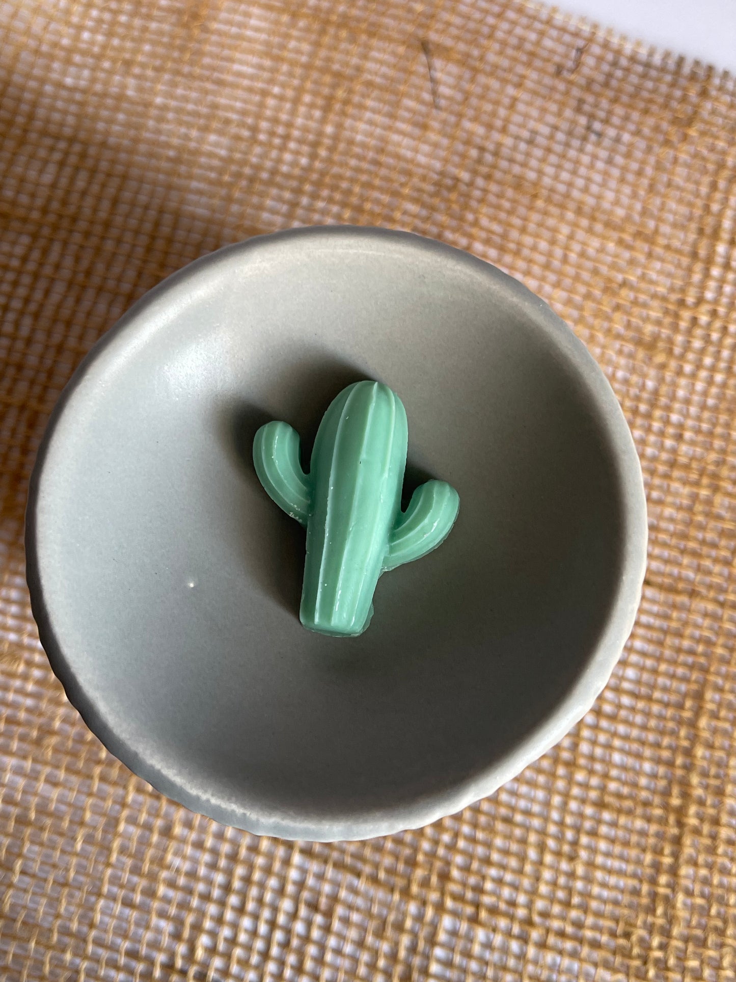 Fondants cactus