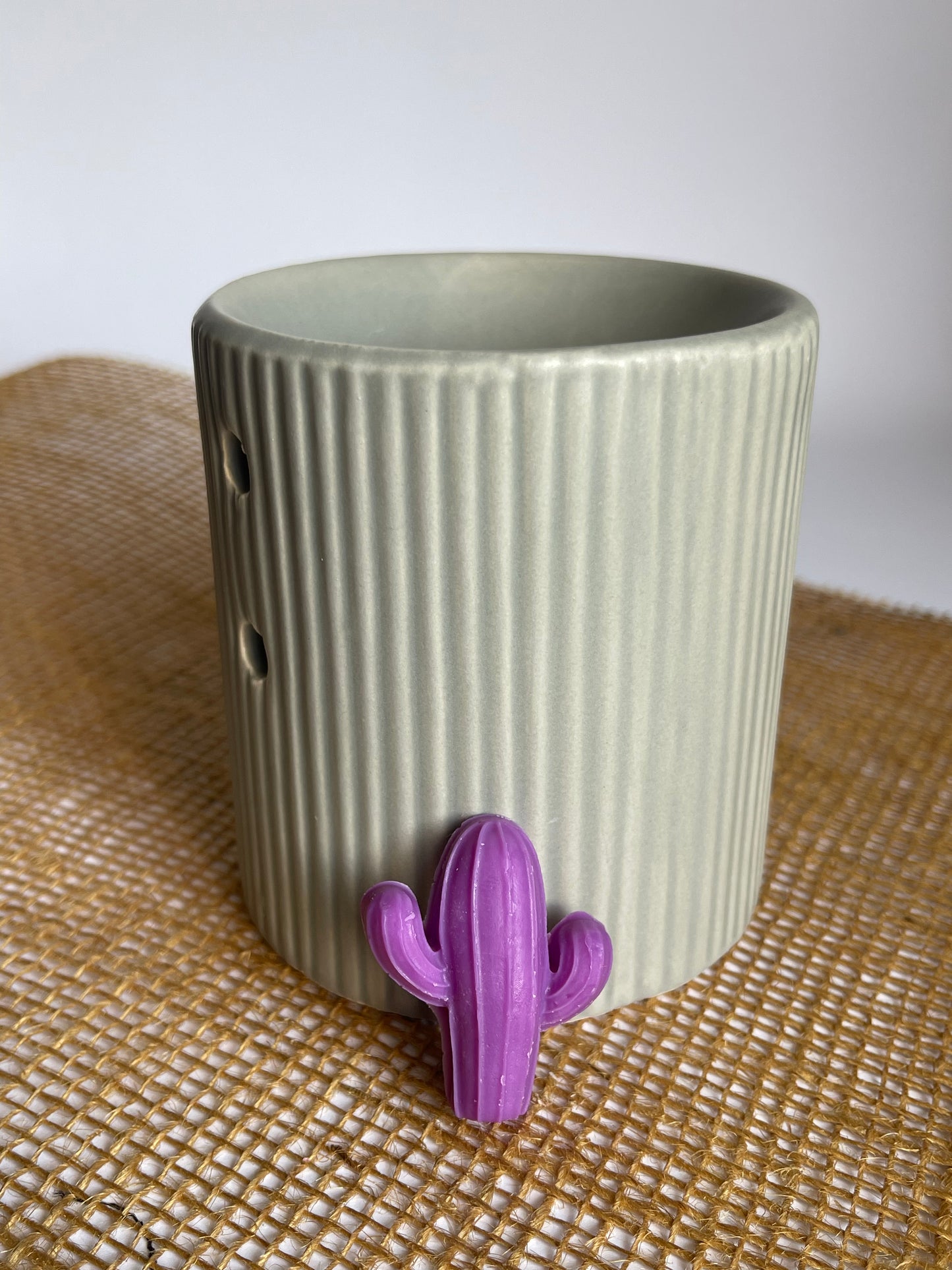 Fondants cactus
