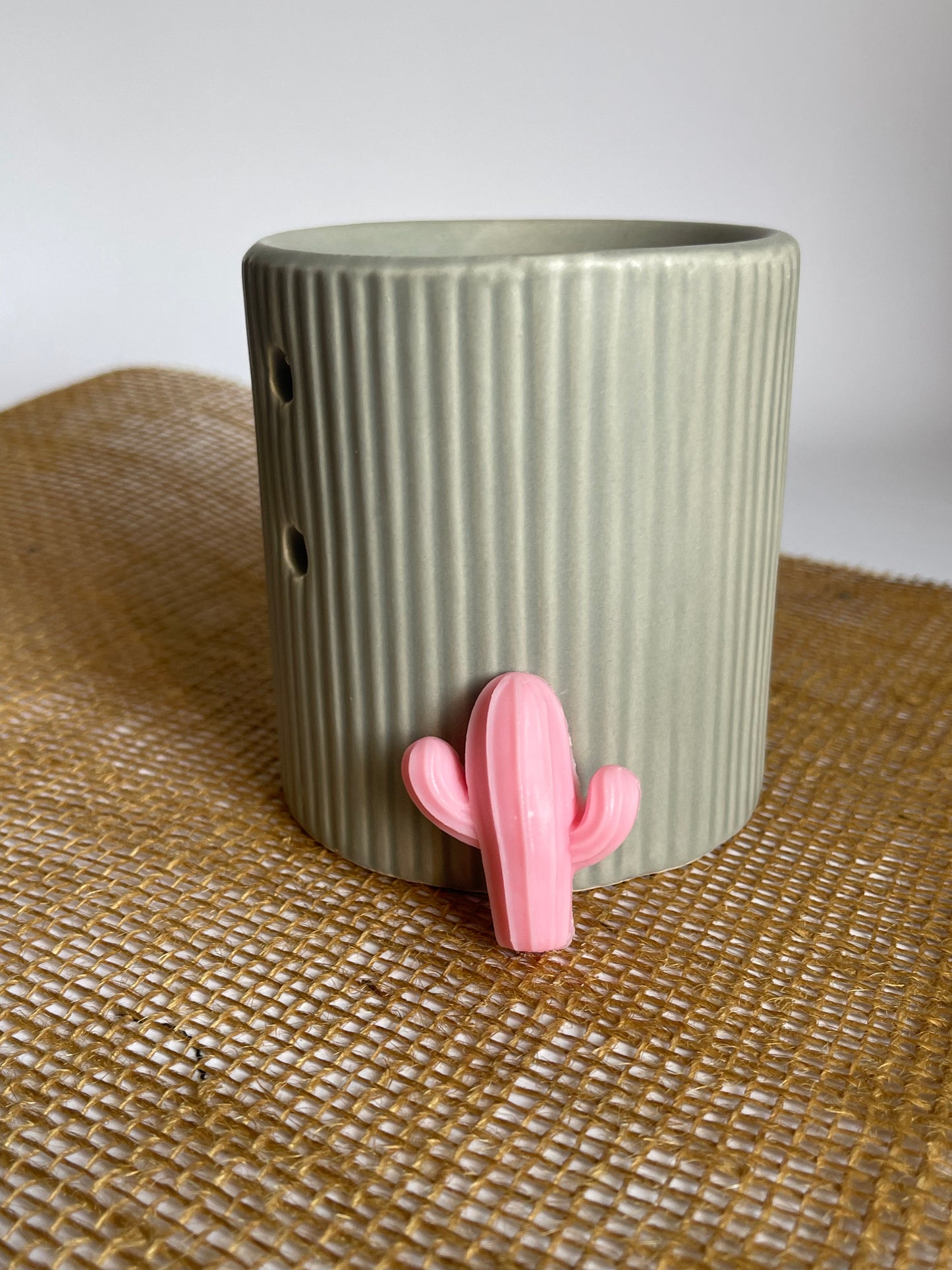 Fondants cactus